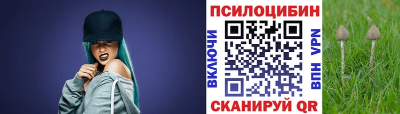 где можно купить   Белорецк  Галлюциногенные грибы ЛСД 